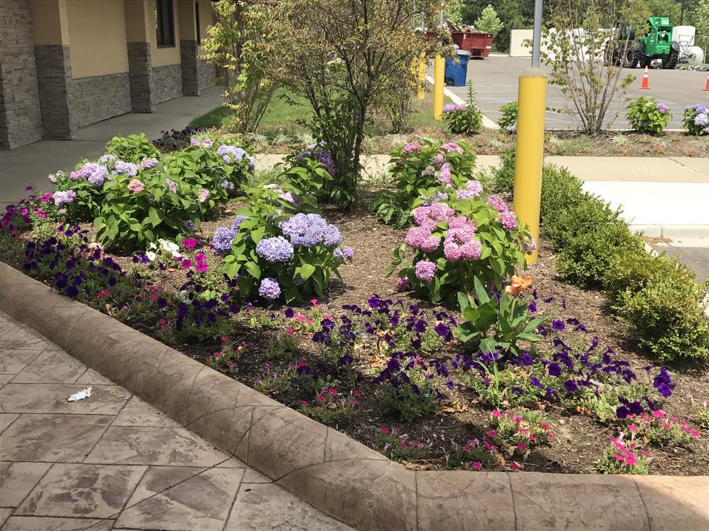 Wyndham Garden Ann Arbor Hotel Exterior photo